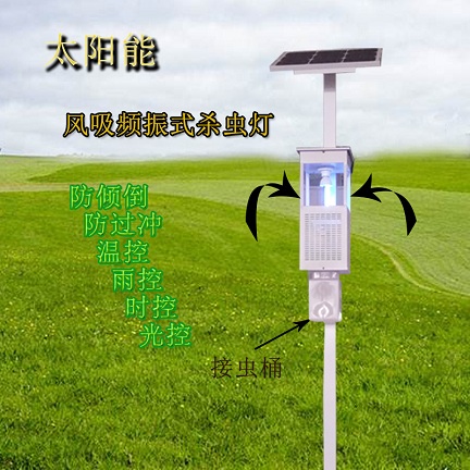 網站圖片